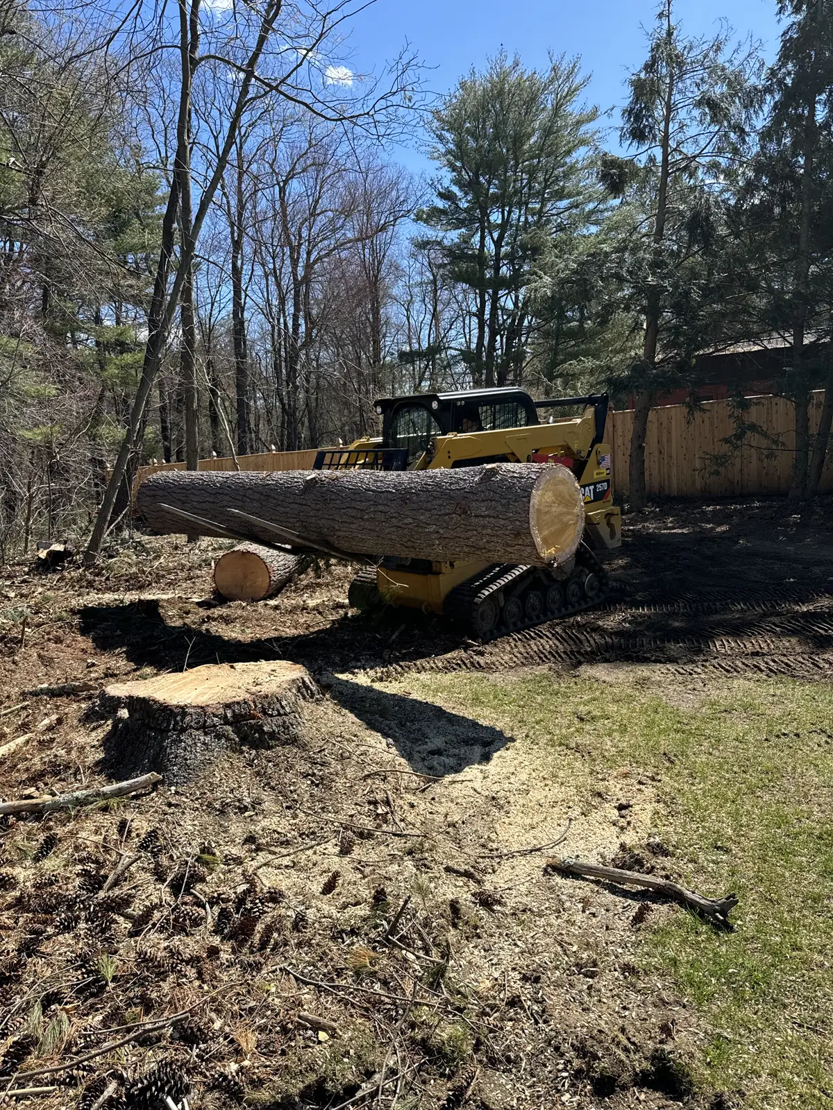 machine hauling away tree trunks after a tree removal service