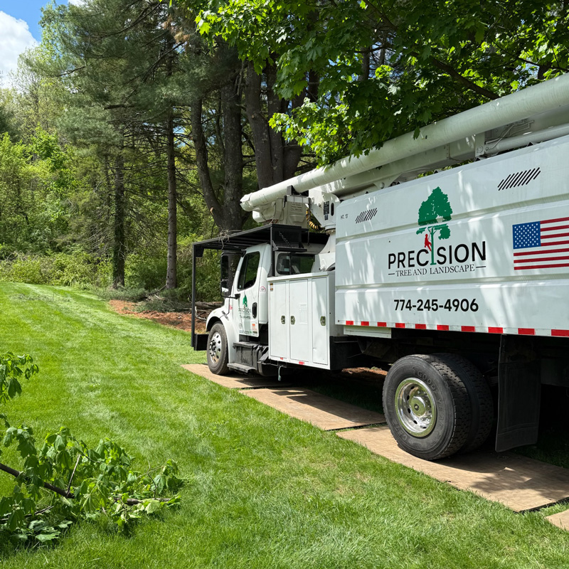 tree service vehicle