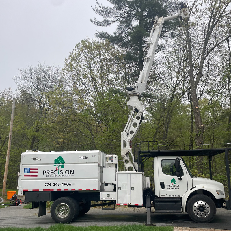 tree service vehicle