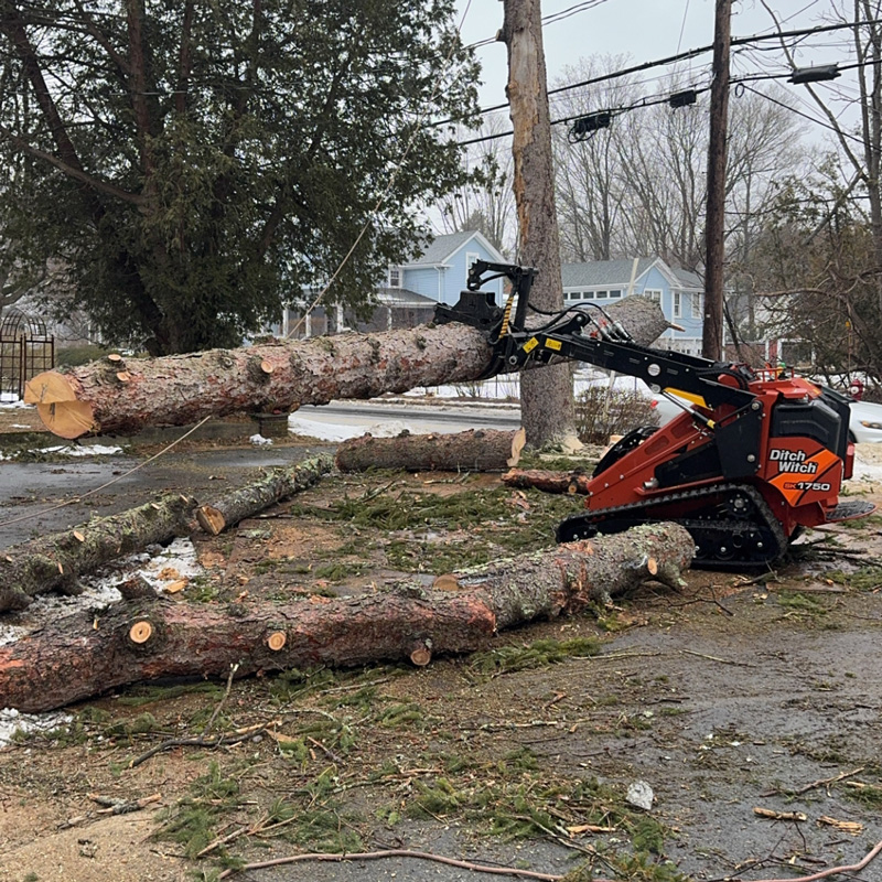 little bobcat removing a tree