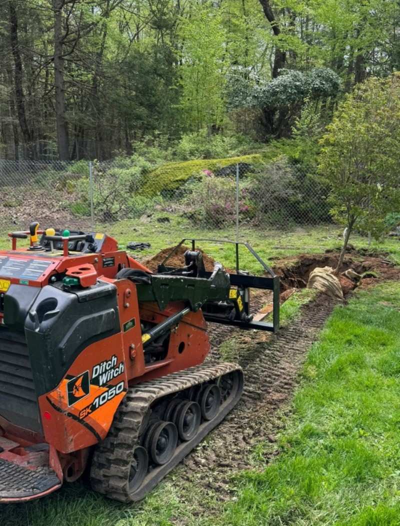 Commercial tree maintenance service for a business property in Hudson, MA