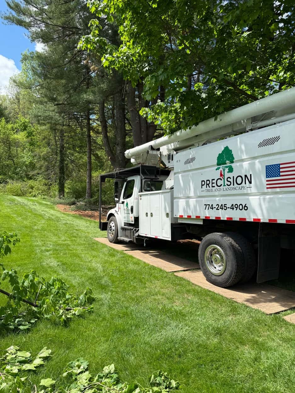 Precision Tree & Landscape tree care truck positioned for tree maintenance in Northborough, MA