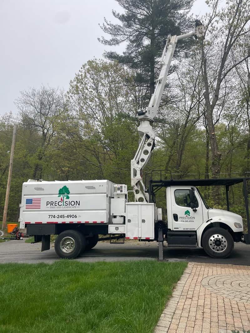 Tree care bucket truck trimming trees on a Southborough, MA, property.