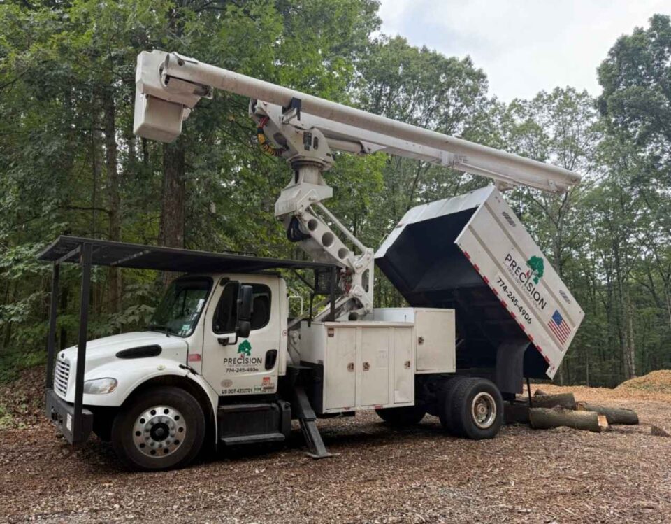 Precision Tree and Landscape truck providing tree services in Stow, MA