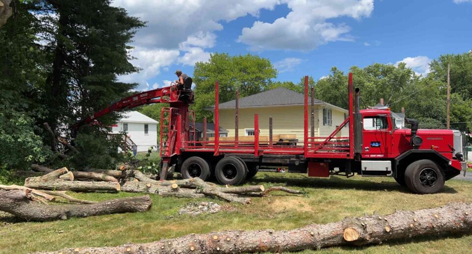 A red tree service truck loading cut tree logs during tree removal in Bolton, MA