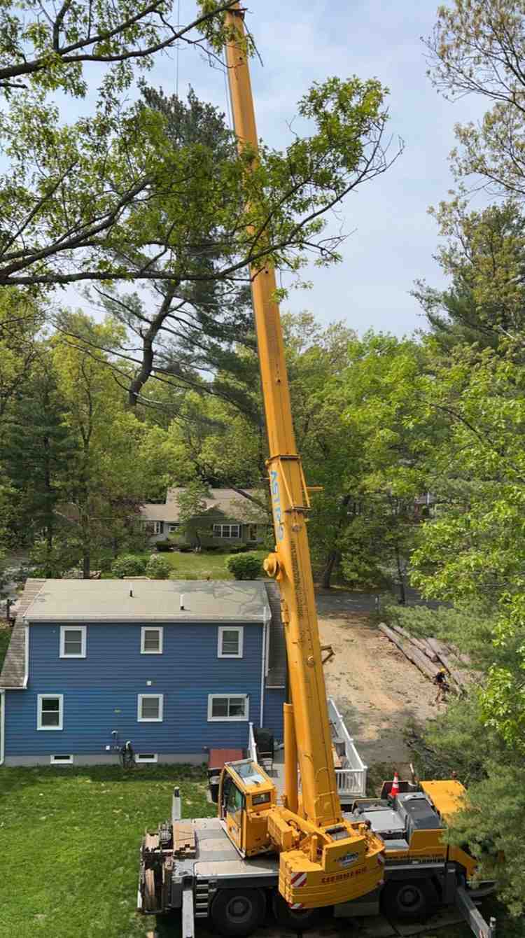 Crane assisting residential tree removal in a wooded residential area in Hudson, MA